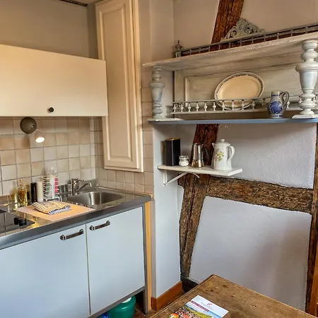 Cozy Nest In Riquewihr